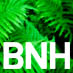 BNH Carbon